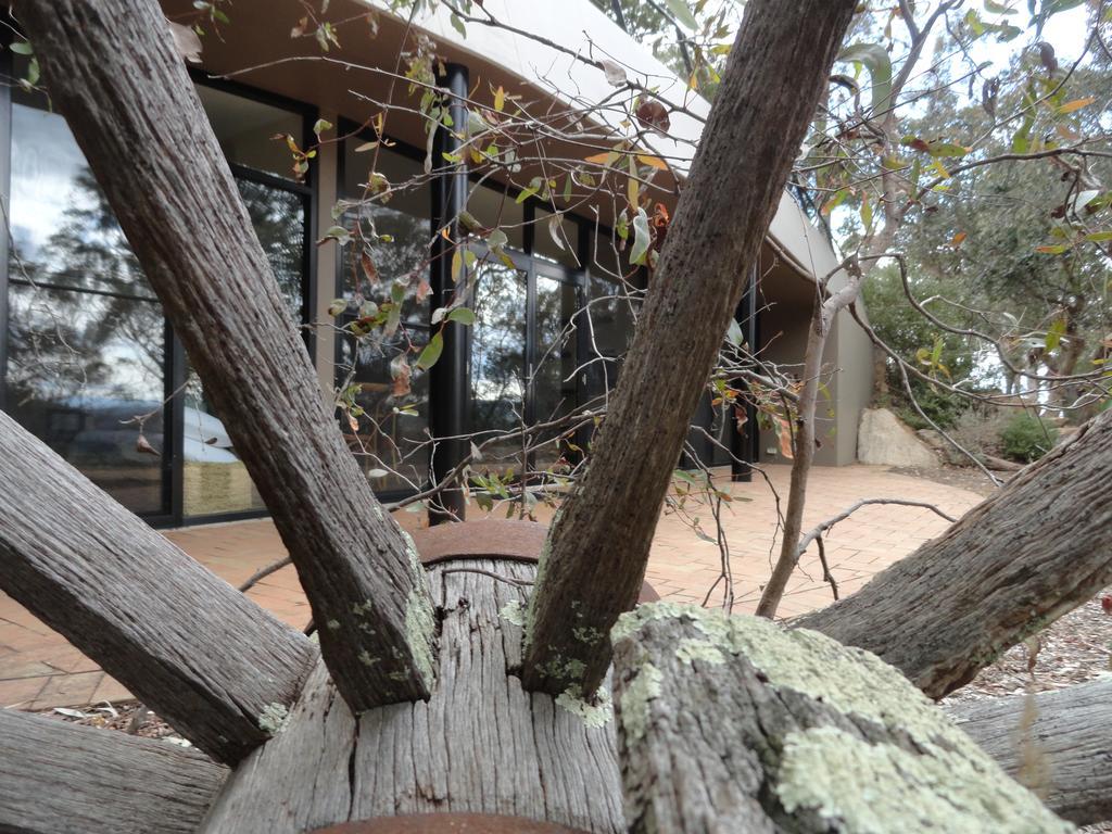 Down To Earth Farm Retreat Apartment Sarsfield Bagian luar foto